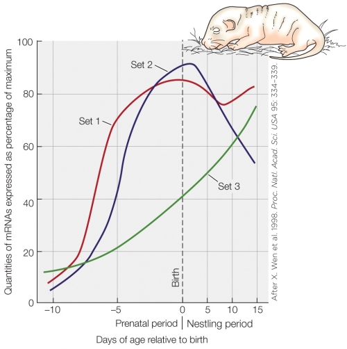 Refer to the figure shown.   If additional data were added to the figure, the developmental trajectory would show A)  an overall increase. B)  an overall decrease. C)  a steady level or an overall increase. D)  a steady level, an overall increase, or an overall decrease.