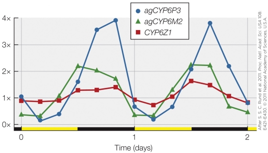 Refer to the figure shown.   The figure is based on the measurement of A)  proteins. B)  metabolites. C)  mRNA. D)  DNA.