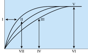 Refer to the figure shown.   If more substrate is added to the reaction system of line C in the figure, what would be the most likely outcome? A)  The curve of line C would shift toward line B. B)  The V<sub>max</sub> will increase. C)  K<sub>m</sub> will decrease. D)  The curve will remain the same. 