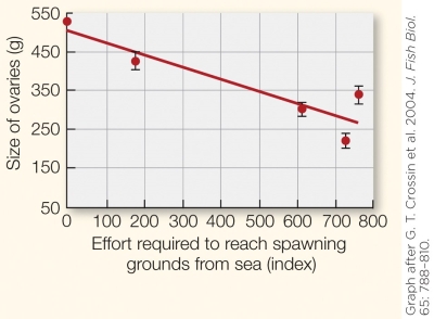 Refer to the figure shown.   The data in the graph would be relevant to which subdiscipline of physiology? A)  Evolution B)  Cell physiology C)  Morphology D)  Ecology