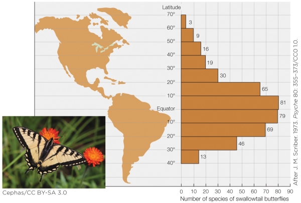 Refer to the figure shown.   This figure shows that A)  the number of butterfly species increases as one moves toward the equator. B)  butterfly populations are larger near the equator than at any other latitude. C)  the number of butterfly species increases as latitude increases. D)  the butterfly population increases as latitude increases.
