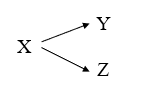 According to the theoretical model:   A)  the inferred causal relationship between Y and Z is weak. B)  X is an intervening variable. C)  X affects Y and Z, but there is no causal relationship between Y and Z. D)  Y and Z are independent of X.