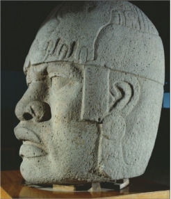   Olmec colossal heads (figure 17.12)  placed in ceremonial centers indicate they most likely represented: A)  Enemies B)  Rulers C)  Gods D)  Carvers