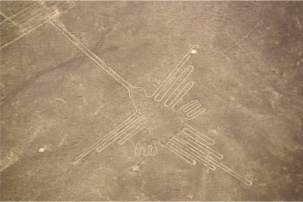   The monumental earthworks of the Nazca (figure 17.19)  feature an appreciation for the overall greater meaning of an object versus its specific visual form because: A)  The earthworks feature mirrored designs B)  Multiple people from a variety of groups worked together C)  The design can be seen only from a bird's eye view D)  The earthworks were paths to water
