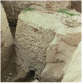   The tower from Jericho (figure 13.9)  is an example of Neolithic people: A)  Being organized for important tasks B)  Using post-and-lintel construction C)  Having religion D)  Specializing