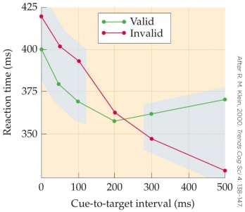 Refer to the figure.   Which statement explains the significance of the results shown in the figure? A)  Due to inhibition of return, the longer reaction time after an invalid stimulus is directly proportional to the delay between the invalid stimulus and the target stimulus. B)  When the delay between a valid cue and the target stimulus is long, subjects focus everywhere else, lengthening their reaction time for detecting the target. C)  The phenomenon in which shorter times between a valid stimulus and the appearance of the target stimulus are associated with shorter reaction times for detecting the target stimulus is called inhibition of return. D)  Once a subject has looked toward a stimulus, their ability to detect a target stimulus in the same location is inhibited.