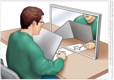 Refer to the figure.   H.M.'s performance on the memory task represented by the figure demonstrated that A)  he was incapable of acquiring any new memories. B)  there are two basic kinds of memory: episodic and semantic. C)  he could confabulate to cover for his deficits. D)  there are two different kinds of memory: procedural and declarative.