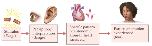 Refer to the figure.    The sequence of events shown in this diagram illustrate the ______ theory.