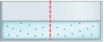 Refer to the figure.   The two chambers in the figure are separated by a semipermeable membrane. What will happen to the fluid levels if salt is added to the left chamber? A)  The solute concentration of the left chamber will increase, but the liquid levels will not change. B)  The difference in solute concentration will push salt and water molecules through the membrane until the concentrations are equivalent, which will overcome gravity and result in a higher level of fluid in the right chamber. C)  If enough salt is added, the difference in solute concentration will push salt molecules through the membrane until the osmotic pressure is less extreme, but the liquid levels will not change. D)  Water molecules from the right chamber will pass through the membrane until the ratio of water to salt is the same in both chambers, resulting in a higher level of fluid in the left chamber, despite gravity.