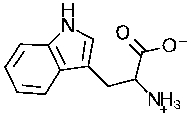 To what major class of biomolecules does the following molecule belong?