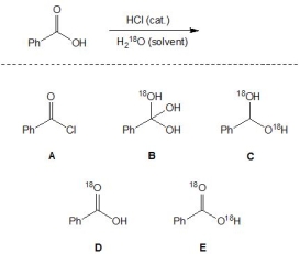 For the following reaction, pick out the major product:   A)  A B)  B C)  C D)  D E)  E