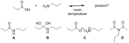 Predict the major product of the following reaction, at room temperature.   A)  A B)  B C)  C D)  D