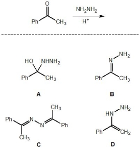 What is the major product of the following reaction?   A)  A B)  B C)  C D)  D