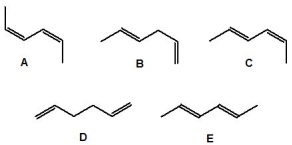 Which of the following dienes is the most stable?   A)  A B)  B C)  C D)  D E)  E