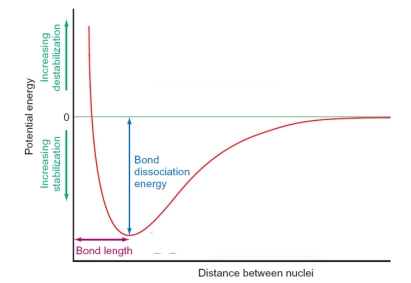 In the figure below, the shape of the curve is dictated by which of the following factors? Please select all that apply.   A)  At long distances there is no interaction between the atoms as the orbitals are not able to overlap. B)  At very short distances the atoms repel strongly as the positive nuclei come into close contact. C)  The equilibrium between repulsive and attractive forces generates the bond length between the atoms. D)  As the atoms become close enough together the orbitals overlap and the atoms are drawn together as bonding occurs.