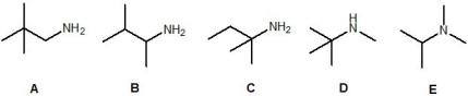 Which of the following compounds contain a primary amine?   A)  A B)  C and D C)  D D)  E E)  A, B and C
