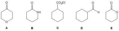 Which of the following compounds A-E is a lactone?   A)  A B)  B C)  C D)  D E)  E
