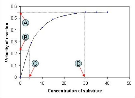 The following graph depicts the rate of an enzyme-catalyzed reaction. Which value, A-D, represents the Michaelis constant, K<sub>M</sub>, for the enzyme featured in the graph?   A)  A B)  B C)  C D)  D
