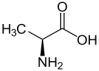 Identify the category of amino acid presented here.   A)  neutral nonpolar B)  neutral polar C)  acidic D)  basic