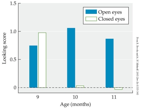 Review this figure.    Briefly summarize and interpret the experimental results shown in this figure.