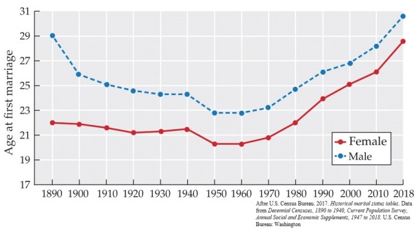 Refer to the figure.   According to the graph, A)  men usually marry women who are older than they are. B)  in the late 19th century, the average age at first marriage was fairly young. C)  since the 1960s, age at first marriage has leveled off for both men and women. D)  age at first marriage reached its lowest point in the 1950s. E)  men are marrying considerably later now than they did in the 1890s.