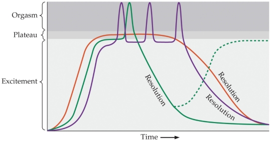 Refer to the figure.   The figure shows three patterns in the sexual response cycle. Based on the information presented in the figure, which statement is true? A)  There are various sexual response patterns. B)  Without orgasm, the sexual response cycle is not complete. C)  Multiple orgasms are rare but possible. D)  All sexual response patterns are similar. E)  The sexual response cycle varies by culture and personal expectations.