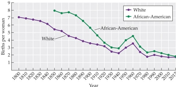 Refer to the figure.   This graph shows births per woman by year for white and African-American women. Data for African-American women are shown with the green (top)  line. What conclusion can be drawn from the information in the graph? A)  A decline in births correlates with a decline in sexual activity. B)  Declining births are due to the availability of the birth control pill. C)  Birth rates for both white and African-American women have declined since 1850. D)  Since 1850, births have declined for white women but not for African-American women. E)  Changes in the institution of marriage have caused a decline in the birth rate.
