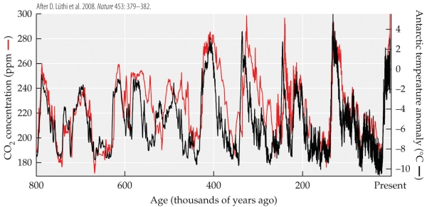 Refer to the figure.   The figure shows the temperature (in °C, relative to modern temperature)  and the concentrations of carbon dioxide (in ppm)  and methane (in ppb)  over the past 400,000 years.  -Relative to the average over the last 400,000 years, concentrations of CO<sub>2</sub> during the warm interglacial periods in this time period have been _______, and concentrations of methane have been _______. A)  high; high B)  high; low C)  low; high D)  low; low