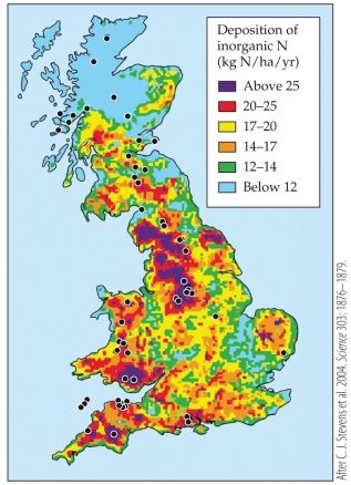 Refer to the figure.   This figure shows spatial patterns of N deposition in Great Britain. What is the most likely change in carbon cycling in Great Britain as a result of changes in N cycling? A)  Increases in net primary production in northern Great Britain B)  Increases in net primary production in western Great Britain C)  Decreases in net primary production in southeastern Great Britain due to nitrogen saturation D)  Eutrophication and increased aquatic productivity in northern Great Britain