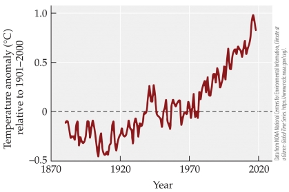 Refer to the figure.   The figure shows mean annual global temperature anomalies between 1880 and 2019.  -Prior to 1970, over which 20-year period did the global temperature rise the most? A)  1881-1900 B)  1901-1920 C)  1921-1940 D)  1941-1960