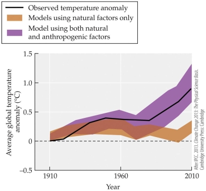 Refer to the figure.   Computer models observed global temperature changes with and without anthropogenic forces, proving that humans have indeed played a major role in observed warming. Using the figure, what year did anthropogenic factors start making a significant impact? A)  1910 B)  1975 C)  1990 D)  2010