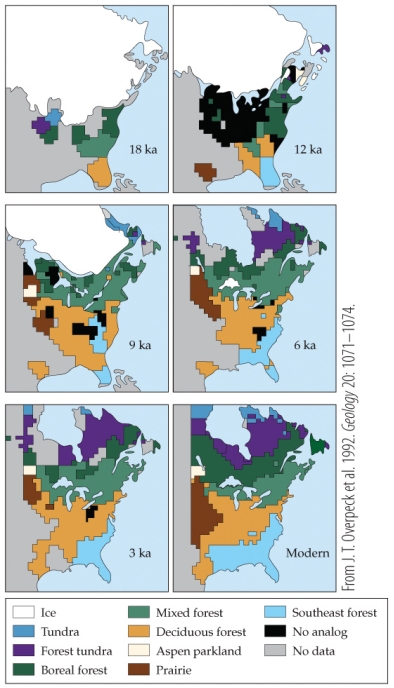 Refer to the figure.   - Large-scale community changes observed historically took thousands of years. For example, it took from 18,000 years ago to 6,000 years ago for forest tundra to reach even a portion of its current geographical location. Which factor will increase the susceptibility of species to extinction due to our current, rapidly changing environment that was not present historically? A)  Assisted migration by humans B)  Habitat fragmentation C)  Development of novel communities D)  Accelerated evolutionary changes