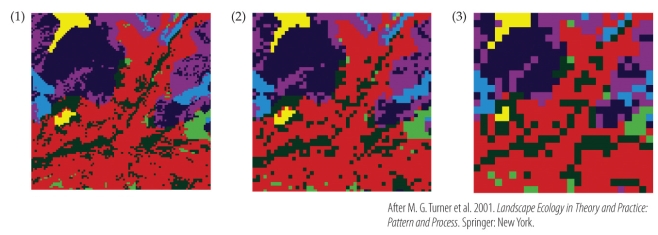 Refer to the figure.   A graduate student interested in using a habitat map of North America finds that it is too large of a file for his school's Geographic Information System (GIS) computers to handle.  -To reduce the file size, the graduate student changes the pixel size of the file from 30 x 30 m (Panel 1) to 1000 x 1000 m (Panel 3). This student has successfully altered the _______ but in the process has lost _______. A) extent; detail B) grain; detail C) scale; accuracy D) range; precision