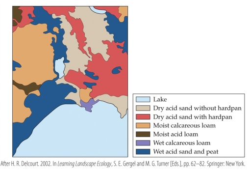 Refer to the figure.   The figure shows soil types in a part of Michigan's Upper Peninsula. Assume that the top of the map is north.  -Where would you most likely find moist calcareous loam? A)  On the north edge of the landscape B)  On the east edge of the landscape C)  On the south edge of the landscape D)  On the west edge of the landscape