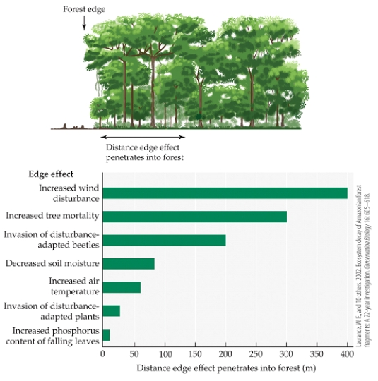Refer to the figure.   The figure shows the extent of different edge effects in Amazon rainforest fragments. - Based on the figure, which difference would you expect to find 150 meters from the edge of a forest fragment, as compared to an area in the deep interior of the fragment? A)  A decrease in soil moisture B)  Increased air temperature C)  Increased tree mortality D)  Decreased relative humidity