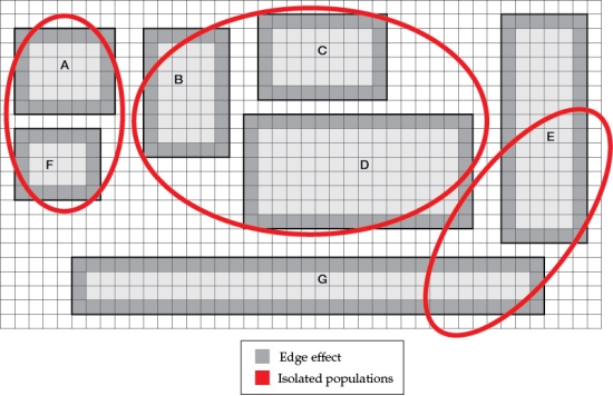 Refer to the figures. Figure 1    Figure 2    Figure 4    You are working with a town to develop a conservation strategy for parks (tracts) of protected land in a suburban area (parks A-G). These seven areas are depicted in Figure 1. Each square in the grid indicates an area of 1 km<sup>2</sup>. - Refer to Figure 1 to familiarize yourself with the key aspects of the protected areas. Suppose you are the park manager in this area, and you have the option to build a limited number of habitat corridors to connect different parks to one another and reconnect the populations of birds that have been isolated from one another by the 1 km edge effect. However, your budget is limited. What is the minimum number of habitat corridors that would be required to reconnect the isolated populations of birds you (see Figure 4)? Where would you create these corridors, and why? On Figure 2, indicate the areas you would choose to create habitat corridors (this will be referred to as Figure 5).
