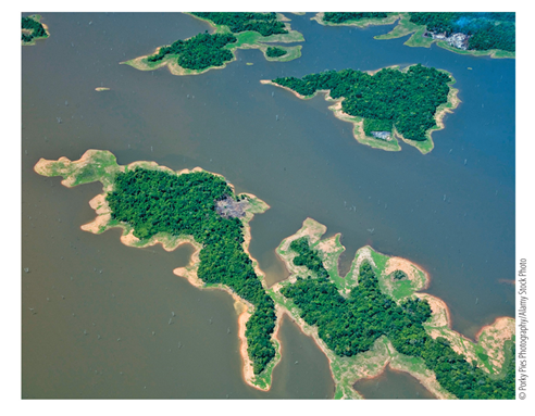 Refer to the photo.   Consider the forest fragmentation that took place in the formation of Lago Guri. What effect would this have on the trophic cascades in this habitat? A)  Trophic cascades would create more trophic levels. B)  Trophic cascades would stop entirely due to a loss of generalists. C)  Trophic cascades would be altered due to the likely loss of top predators. D)  It would encourage greater numbers of trophic cascades due to the influx of new top predators.