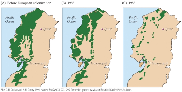 Refer to the figure.   The green in the figure represents forest cover in western Ecuador at three different times. The decreasing amount of forest cover is most representative of A)  declining biodiversity in the region. B)  the conservation work of Alwyn Gentry. C)  the impact of climate change on forest habitats. D)  the difficulty of identifying endangered species.