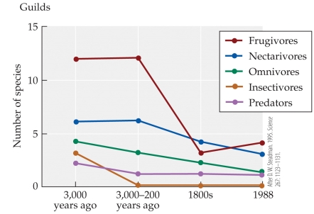 Refer to the figure.   This figure shows results of Steadman's study of bird extinctions in the Pacific Islands, specifically differing rates of extinctions among different guilds of birds. Based on this information, the extinction of which guild(s)  of birds probably had the greatest effect on the island's plant communities? A)  Frugivores B)  Nectarivores C)  Omnivores D)  Insectivores and predators