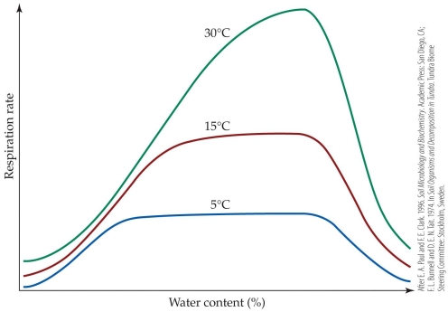 Refer to the figure.    -Which statement best explains the downward trend that follows the peak of each curve? A)  Low soil moisture limits the activity of decomposers. B)  Soils with over one half of the water content indicated have concentrations of oxygen that are too low for optimal rates of decomposition. C)  Soils with extremely high water content are unable to sustain decomposition activity. D)  Soils with over one half the water content indicated increases the metabolic rate of decomposers.