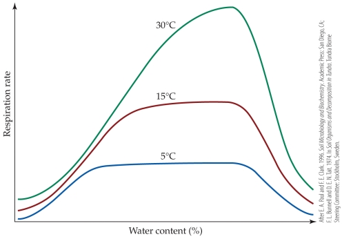Refer to the figure.   - Which statement is supported by the figure? A)  Decomposers at higher temperatures need less moisture to reach peak levels of activity than decomposers at lower temperatures do. B)  Soils with low water content limit rates of decomposition at all temperatures. C)  High soil moisture decreases microbial activity only at a temperature of 30°C. D)  Microbes in soils at 15°C require less soil moisture to reach their peak rate of decomposition than microbes in soils do at 30°C.