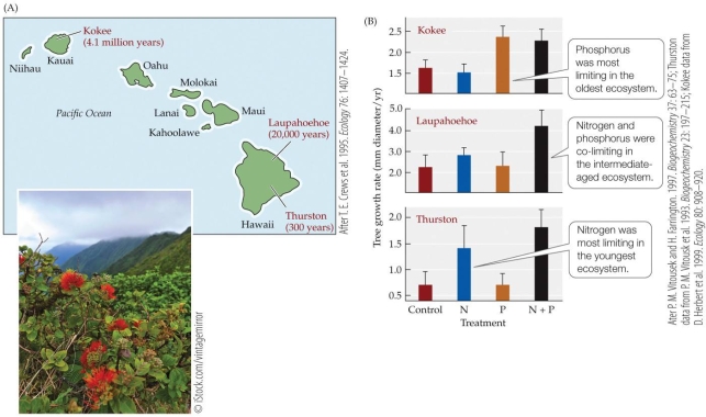 Refer to the figure.   Based on research by Vitousek and colleagues, an Ohi'a tree that grows about 2.6 mm in diameter a year when fertilized with nitrogen and phosphorous would most likely be living on a Hawaiian island approximately _______ years old. A)  150 B)  1,500 C)  21,500 D)  2.15 million