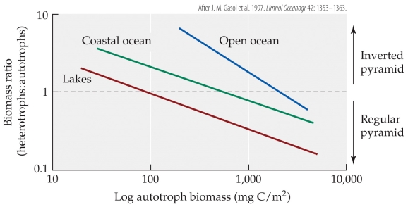 Refer to the figure.   The figure shows the relationship between the total autotroph biomass in the ecosystem and the ratio of heterotrophic to autotrophic biomass for lakes, coastal ocean, and open ocean. According to the figure, at 1,000 mgC/m<sup>2</sup> of autotrophic biomass, lakes would be predicted to have a(n)  _______ biomass pyramid, coastal oceans would be predicted to have a(n)  _______ biomass pyramid, and open oceans would be predicted to have a(n)  _______ biomass pyramid. A)  regular; regular; regular B)  regular; regular; inverted C)  inverted; regular; regular D)  inverted; inverted; regular