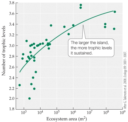 Refer to the figure.   An ecosystem of 10<sup>3.5</sup> m<sup>2</sup> would be expected to have _______ trophic levels. A)  2.5 B)  2.8 C)  3 D)  3.5