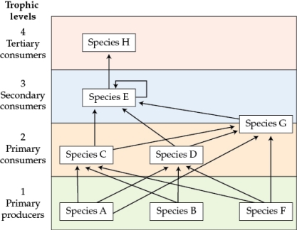 Refer to the table and figure. Table 3    Figure 1    Re-draw the food web from Figure 1 including the most important interactions only, which you identified in Table 3 (this will be referred to as Figure 2). What is one advantage of focusing on the most important interactions? What kind of experimental manipulation would you do to confirm that you have identified the important interactions correctly?