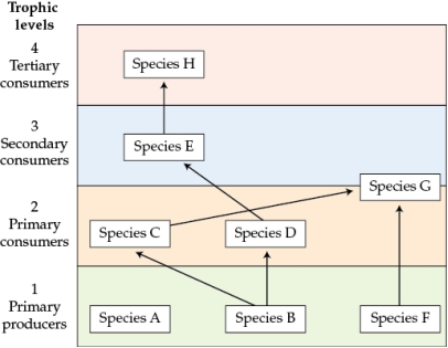 Refer to the figure. Figure 2    Based on the food web you drew for Figure 2, which species is the most important primary producer in the system? Justify your answer. Focusing on the most important interactions, what would you predict would happen to the structure of this food web and the number of trophic levels if all individuals of species B were removed? Which species might be lost from the area as a result of the loss of species B? Which species is least likely to be affected by the loss of species B?