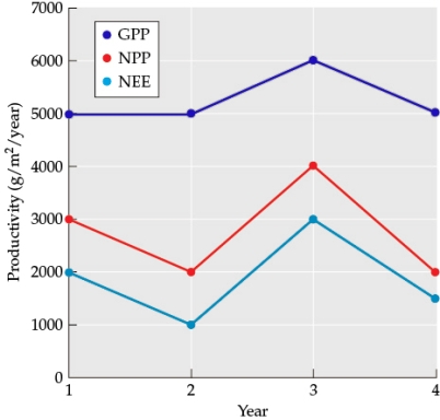 Refer to the table and the figure. Table 2    Figure 1    You are studying the movement of energy through an ecosystem.  -You collect data on energy use at the same site across four years, measured in g/m<sup>2</sup>/year. Assume that the site is sampled at the same location on the same date each year. How did energy production and/or use change when comparing year 1 and year 2? What effect did these changes have on the relationship between GPP, NPP, and NEE?