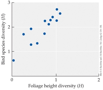 Refer to the figure.   Robert and John MacArthur found that in both tropical and temperate habitat, bird species diversity _______ as plant diversity increased and _______ as foliage height diversity increased. A)  significantly increased; significantly increased B)  significantly increased; showed no statistically significant change C)  showed no statistically significant change; significantly decreased D)  showed no statistically significant change; significantly increased