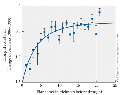 Refer to the figure.   Tilman and Downing studied the impact of plant species richness on drought resistance in prairie communities. What conclusion can you draw from their figure? A)  Communities with fewer species before the drought lost less biomass during it. B)  Communities with intermediate species before the drought lost less biomass during it. C)  Communities with more species before the drought lost less biomass during it. D)  The number of species within the community did not affect biomass during drought.