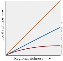 Refer to the figure.   In the figure, assume that the top line has a slope of 1 and the middle line a slope of 0.7. Which of the three relationships shown illustrates a scenario in which local processes most strongly limit species richness in a community? A)  Top B)  Middle C)  Bottom D)  Impossible to say without knowing the beta and gamma diversity for each scenario